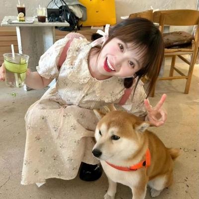 单身初恋日记